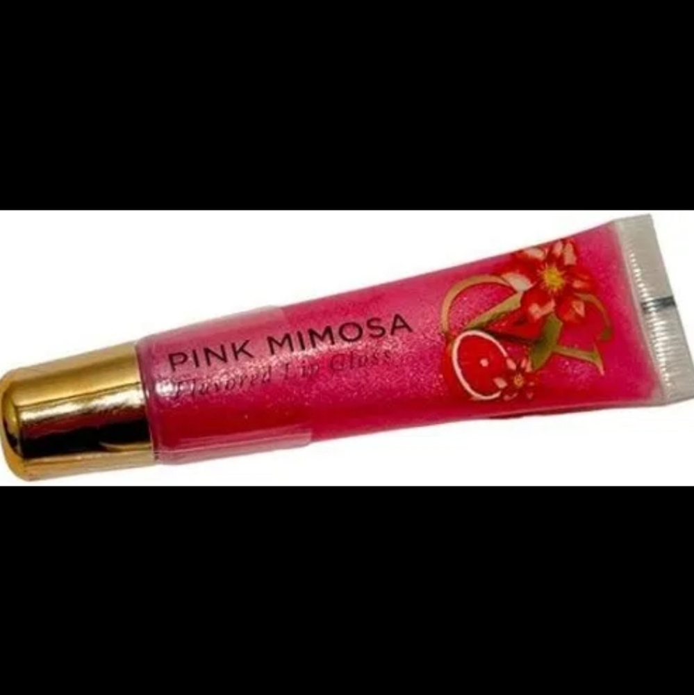 ❇️🧚‍♀️Victoria's Secret RARE Pink Mimosa Rare Lip Gloss NWT